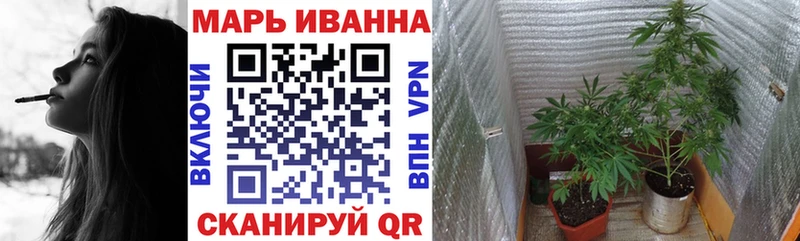 Конопля конопля  Дербент 